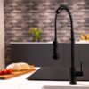 flöde Fjädra | Pull Out Kitchen Sink Mixer Tap | Spring Style Mixer Tap | Matt Black | Oval Head