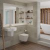 Lars Rimless Wall Hung WC & Soft Close Seat