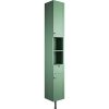 Vera 300mm 2 Door Tall Unit - Matt Sage Green