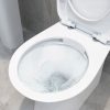 Anna Rimless Back To Wall WC & Soft Close Seat